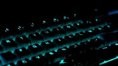 plugboxlinux gaming solutions offered